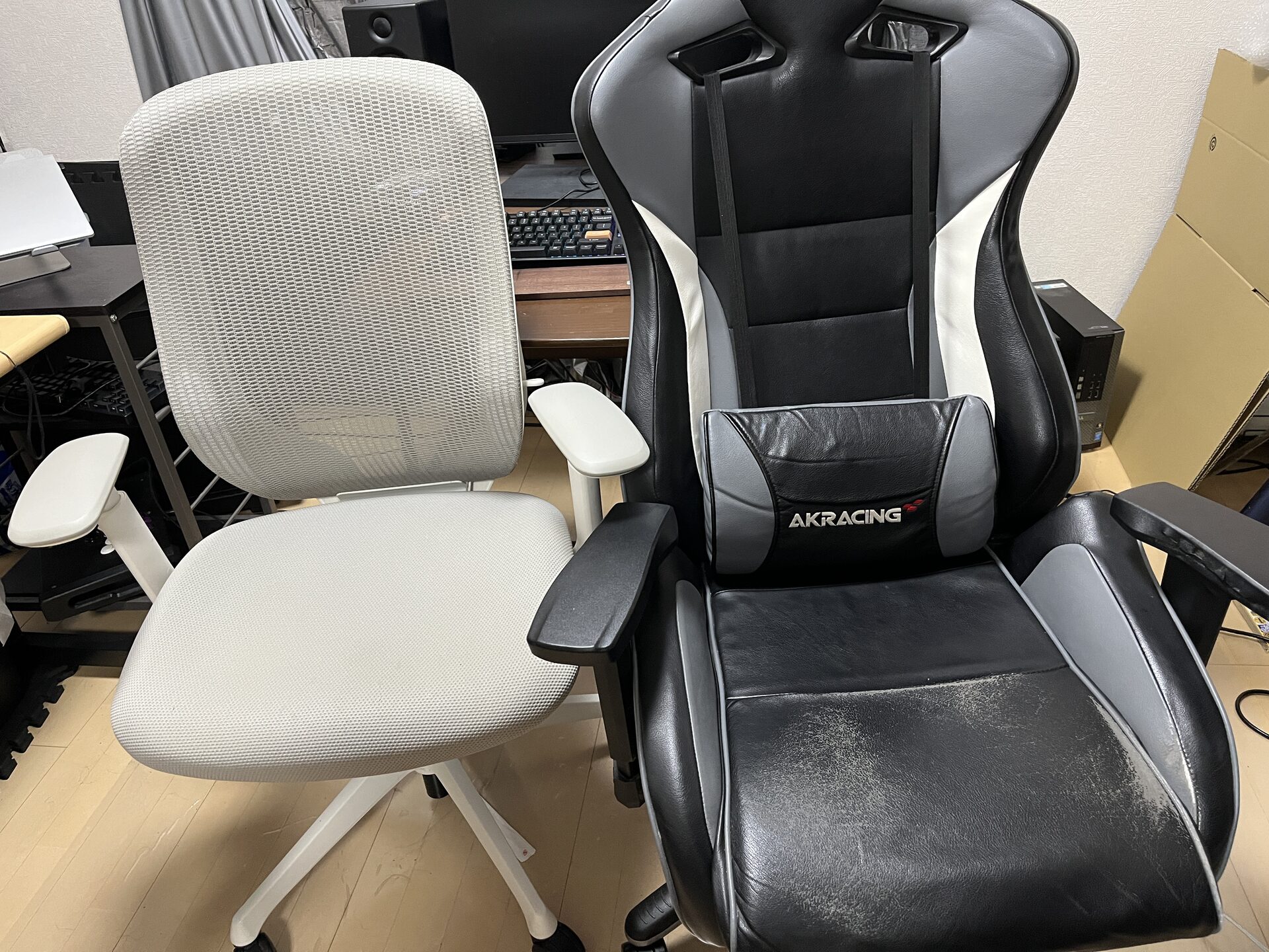 オカムラ・シルフィー&akracing